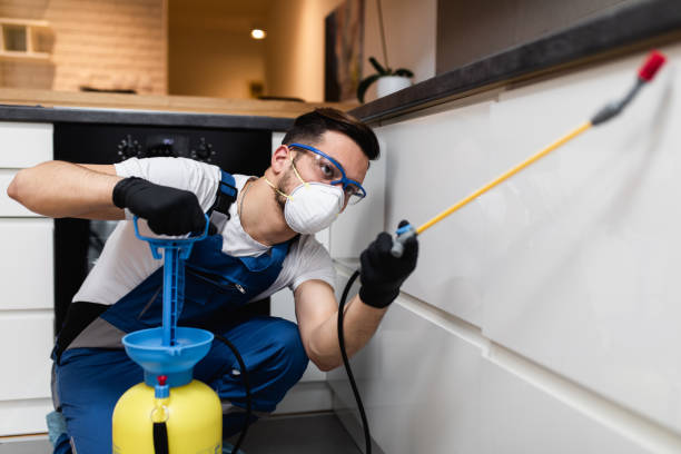 Best Rat Extermination Near Me  in Byron, GA