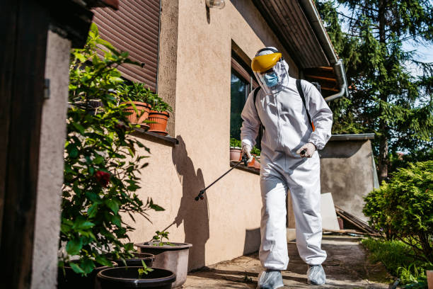 Best Affordable Pest Control Services  in Byron, GA