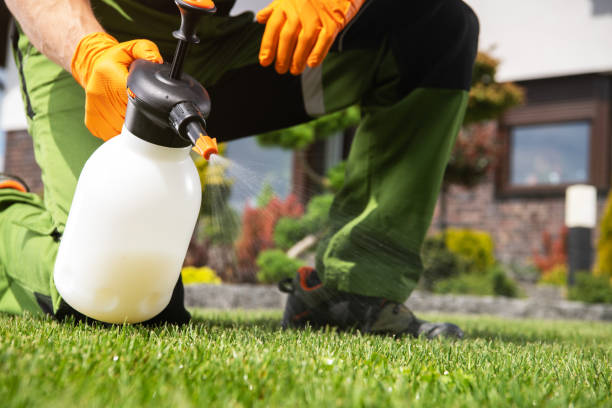Trusted Byron, GA Pest Control Experts