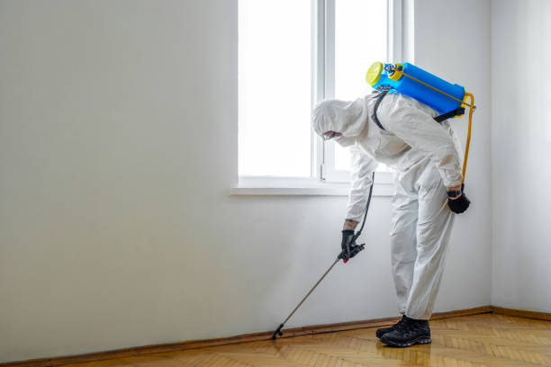 Best Wasp Removal Services  in Byron, GA