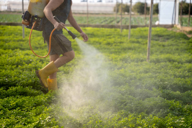 Best Affordable Pest Control Services  in Byron, GA