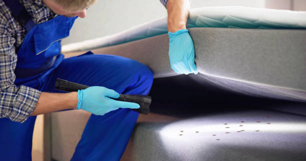 Best Best Pest Control Companies  in Byron, GA