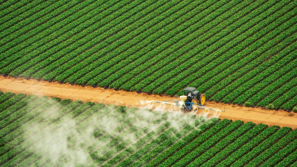 Pest Prevention Services in Byron, GA