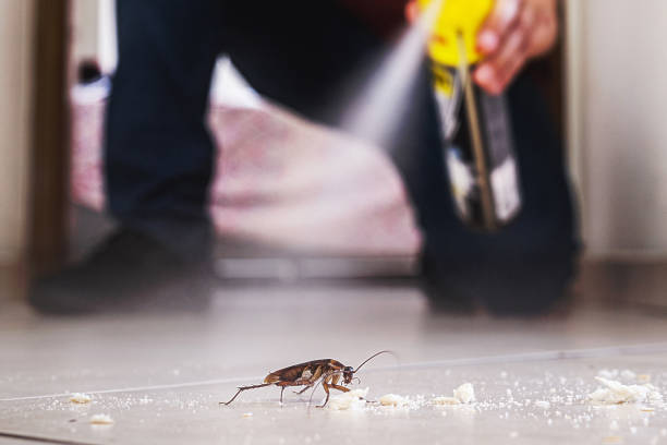 Best Insect Control  in Byron, GA