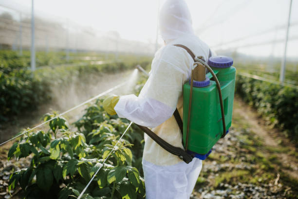 Best Residential Pest Control  in Byron, GA